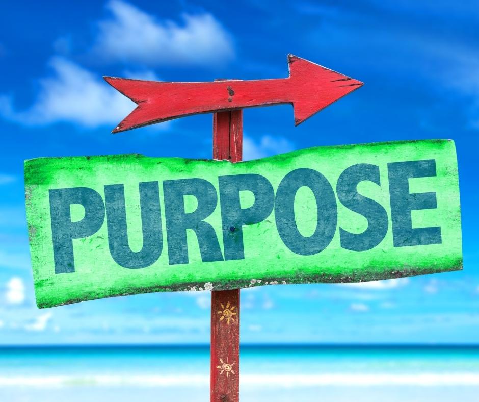 do-you-have-a-sense-of-purpose-lucidity-personal-development